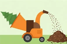 утилизация новогодней елки, куда сдать елку, хранение искусственной елки, уборка после праздников