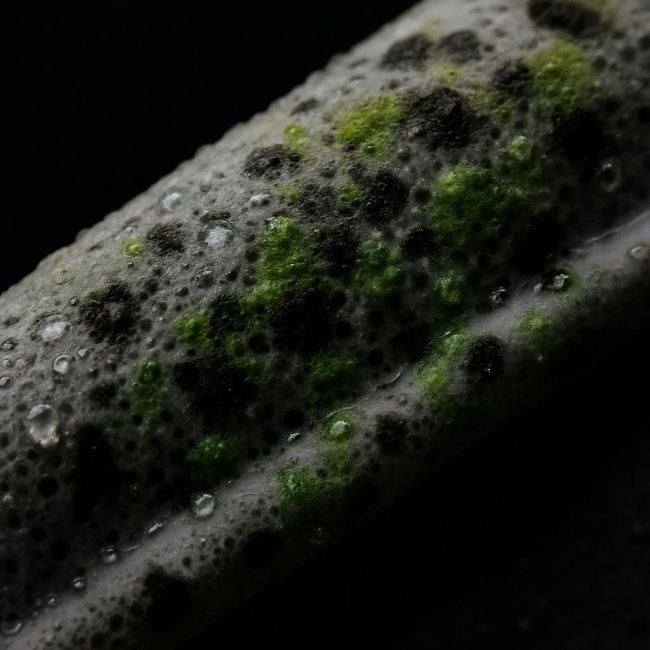  плесень в уплотнителе